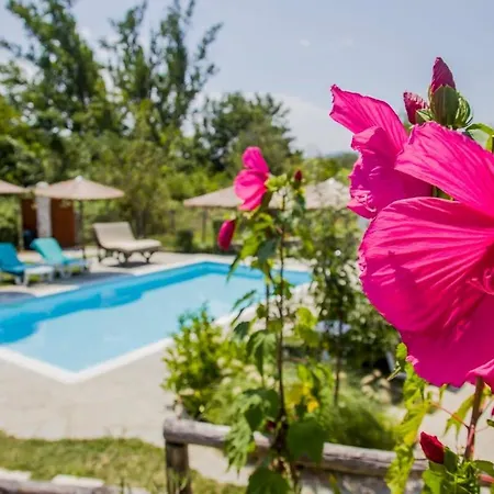 Holiday home Attalos Mythical Nest - Private Pool Escapade